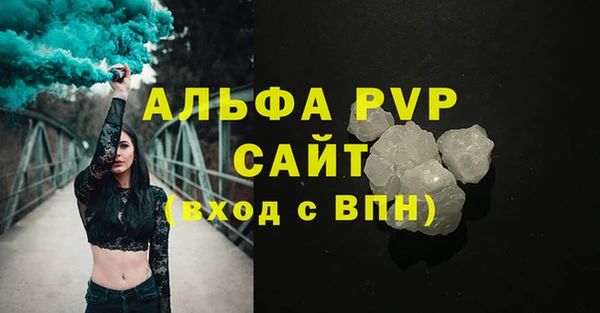 молекула духа Арсеньев