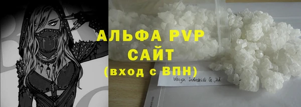 молекула духа Арсеньев