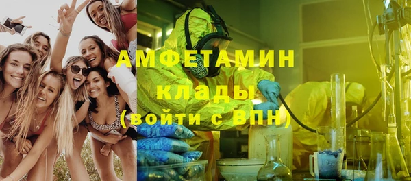 молекула духа Арсеньев