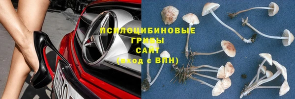 молекула духа Арсеньев