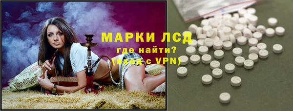 молекула духа Арсеньев